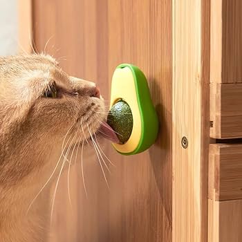 Avocado Catnip Toy for Cats