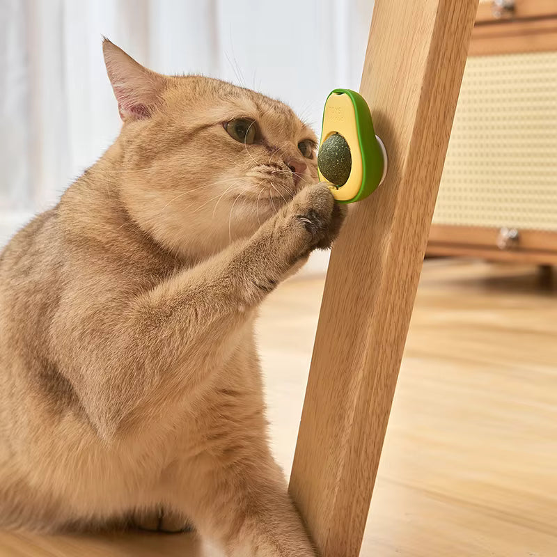 Avocado Catnip Toy for Cats